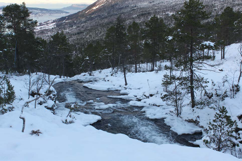 Bilde frå damstad ved kote 275 frå oppstrøms side. Overløp markert med strek. Dammen kan bli synleg frå vestsida av Tresfjorden/Vestnes.