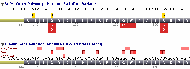 Sjekk databaser MMACHC og unngå områder med sekvensvarianter når du designer primere B.