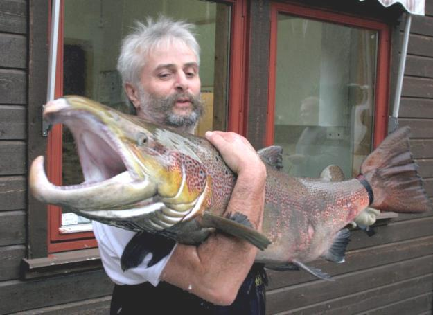 Salmon caught in Alta River Oct 07 30 kg