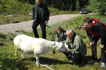 v.) fra Fylkesmannen i Oslo og Akershus, og Rolf B.