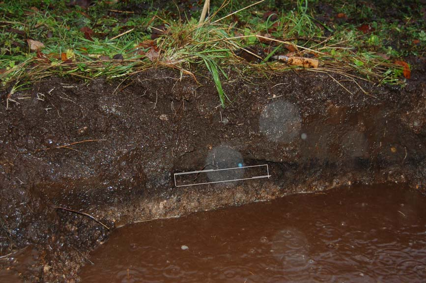 Figur 4 Dyrkingslagsresten i sjakt 1. Den innsatte ramma (ca 20 cm lang) viser uttaksstaden for kolprøva.