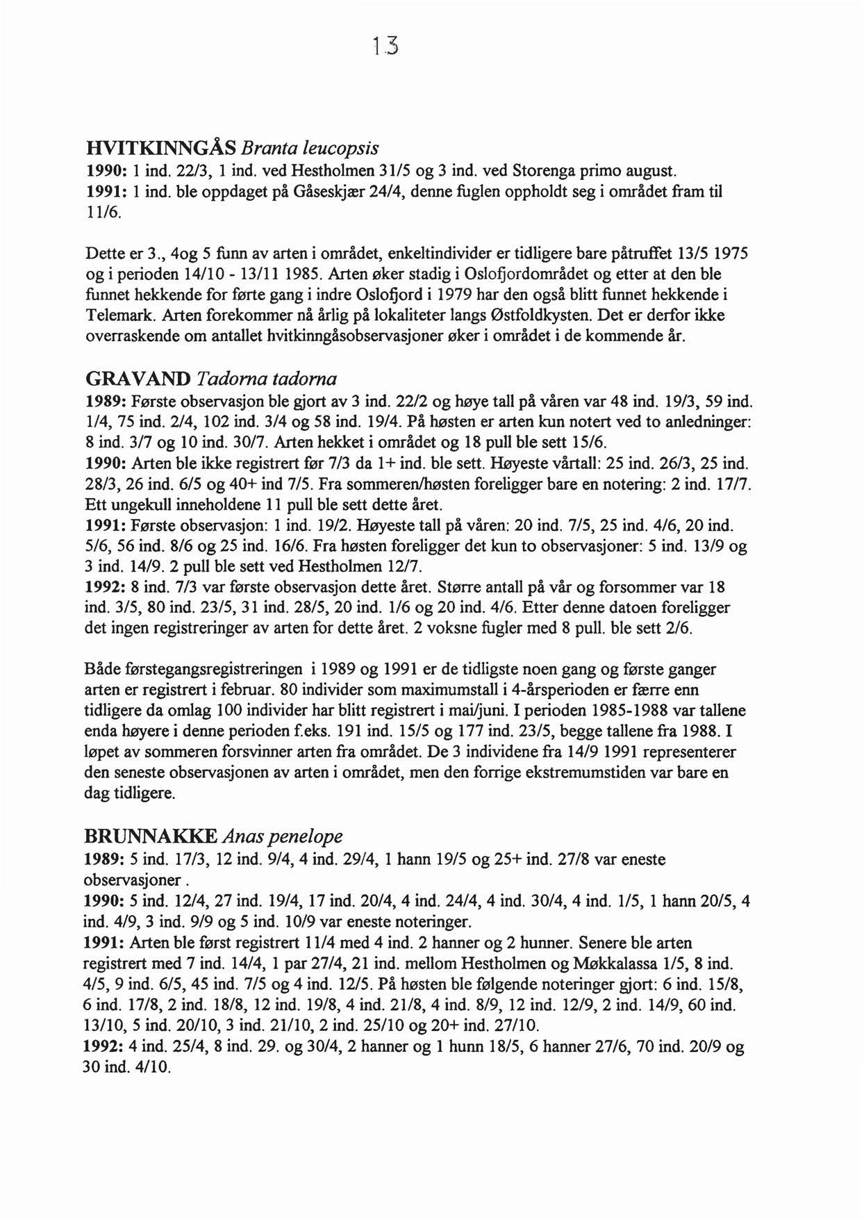 1.3 HVITKINNGÅS Branta leucopsis 1990: l ind. 22/3, l ind. ved Hestholmen 31/5 og 3 ind. ved Storenga primo august. 1991: l ind.