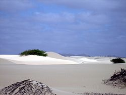 Boa Vista Boa Vista den koselige øya Boa Vista er en vakker øy. Masseturismen har nådd den mindre naboøya Sal, mens her er livet noe mer autentisk. Den internasjonale flyplassen åpnet i 2007.