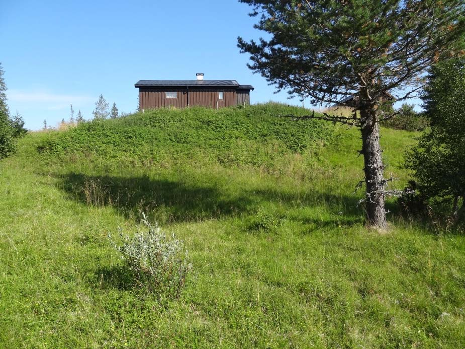 Også overgangen mellom semi-naturlig eng og varig oppdyrket eng kan i en del tilfeller være vanskelig å avgrense.