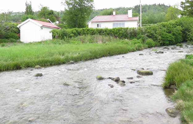 8.2. Hydrologi - Vikhammerelva elevoppgaver Lokalitet 2: Nå står du ved utløpet av Vikhammerelva. Figur 76: Utløpet av Vikhammerelva. Bildet er tatt med Trondheimsfjorden i ryggen.