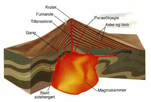 2. Klassifisering av bergarter Figur 1. Illustrasjon av et magmakammer med overliggende vulkan. Fra Fossen (2008, side 39). Tilsvarende er figur 2.12 side 39 i terra mater (Karlsen, 2007).