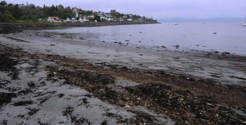 5.2. Sedimentære prosesser i strandsonen - elevoppgaver Figur 41: Flyfoto over Saksvikbukta.