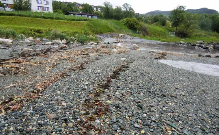 5.2. Sedimentære prosesser i strandsonen - elevoppgaver Figur 46: Finner du noen spor etter flo og fjære?