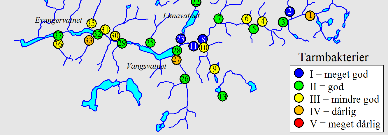 Tarmbakterier i vassdragene 21 Vassdragene i Voss hadde i 21 et generelt forhøyet innhold av tarmbakterier med kun 4 av 36 prøver i tilstandsklasse I = meget god der innholdet er tilsvarende