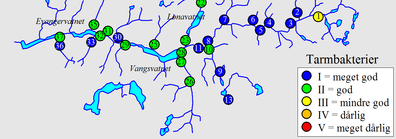 Tarmbakterier i vassdragene - 21 Vassdragene i Voss hadde i -21 et generelt forhøyet innhold av tarmbakterier.