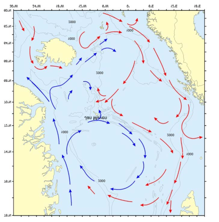 Noe av sjøisen i havområdene rundt Jan blir lokalt dannet, men mesteparten kommer fra Polhavet gjennom Framstredet, og strømmer sørover med Øst-Grønlandsstrømmen.