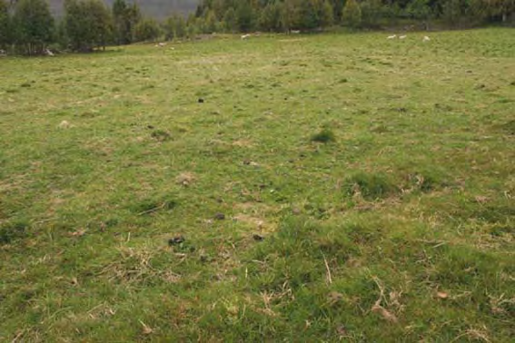 Det aller meste av det dyrka arealet i området består av engareal til grasdyrking.