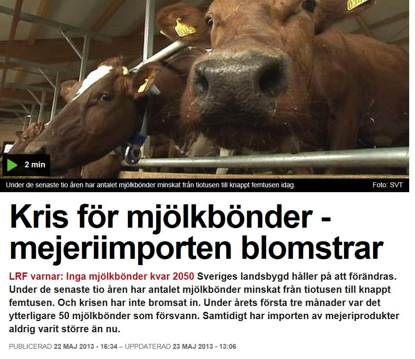 «Norge er blitt så fullt av melk at vi tror vi
