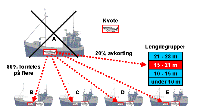 Strukturkvoten kan også fordeles på flere fartøy: Figur 2 Strukturkvoteordning med fordeling til flere fartøy og avkorting av kvote Det er pr 15. september 2005 tatt ut 106 fartøy gjennom ordningen.