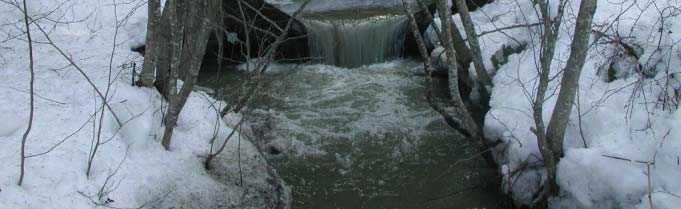 leire Kolstadbekken i Hedmark Korn 1985 Discharge, nutrients and suspended solids Discharge,