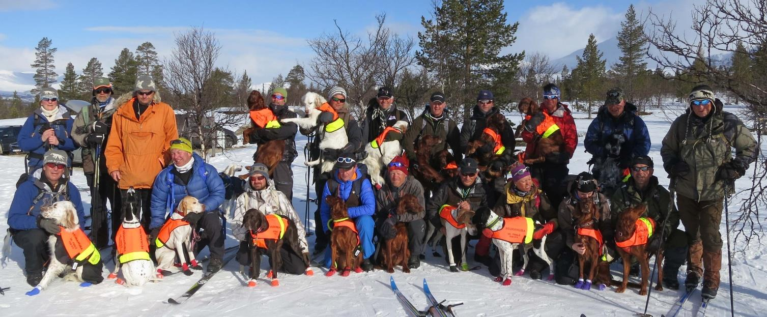 Dreiebok Rolf Sevendals minneløp VK finale 24/4-2016 Arrangør: Hedmark og Oppland Fuglehundklubb Terreng: Langsjølia sør Dommere: Trond Egil Olsen og Odd Harald Sørbøen Vær og føreforhold: Svak vind