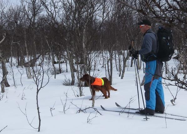 Vicky har senere en stand som hun etter hvert løser ut av og et komplett fuglearbeid med reis. Vicky over Pippi.