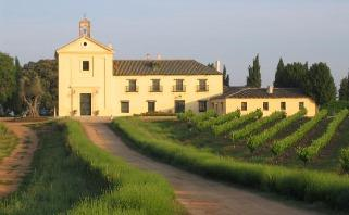 Marques de Griñon Vinhuset Marques de Griñon er en pioner i moderniseringen av vindyrking i Spania. Det ble grunnlagt i 1292 og ble overtatt av Carlos Flaco i1989.