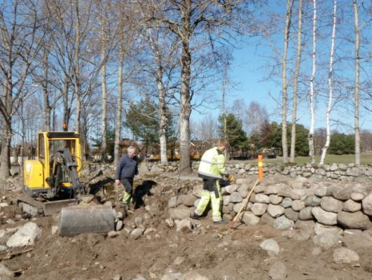 De vakre gamle trærne vil med tiden naturlig nok forfalle. Det er derfor viktig å være oppmerksom på yngre trær som har potensial til å bli nye monumenter.