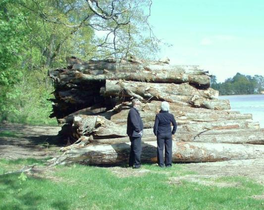 4.1.1 Trekirkegård Som del av skjøtsel og tiltak i landskapsvernområdet er det nødvendig med ulike former for hogst, tynning og rydding av trær og busker.