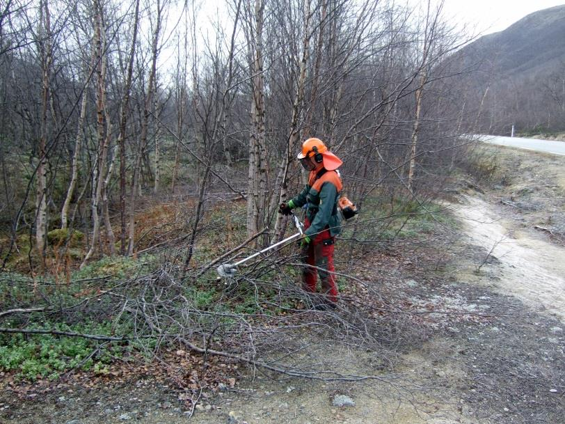 Retningslinjer for Nærings og miljøtiltak i skogbruket (NMSK) for kommunene i Finnmark og Kvænangen kommune i Troms 2017