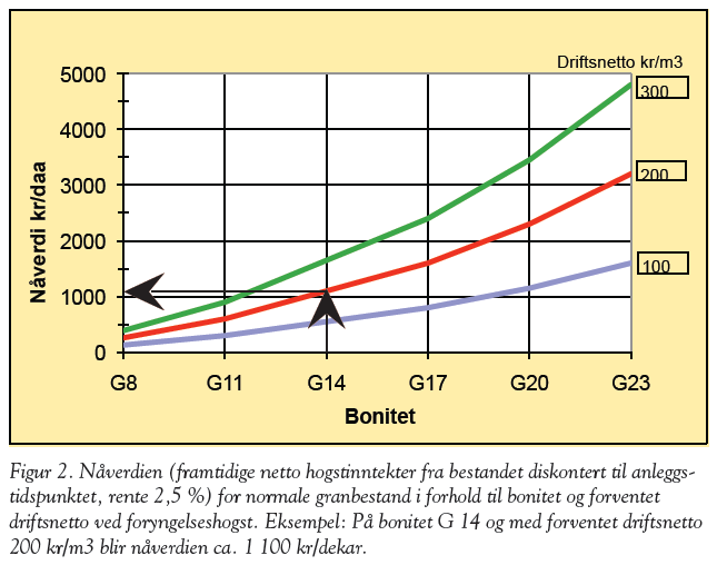 BONITET G14 Ikke markberedd Markberedd Kortere omløpstid, år 3 Nåverdi 1100 Utsatte planter 210 pr. daa 189 pr. daa Plantepris 2,00 kr pr. stk 2,00 kr. pr stk Plantearbeid 3,00 kr pr. stk 2,00 kr. pr stk Markberedning 225 kr.