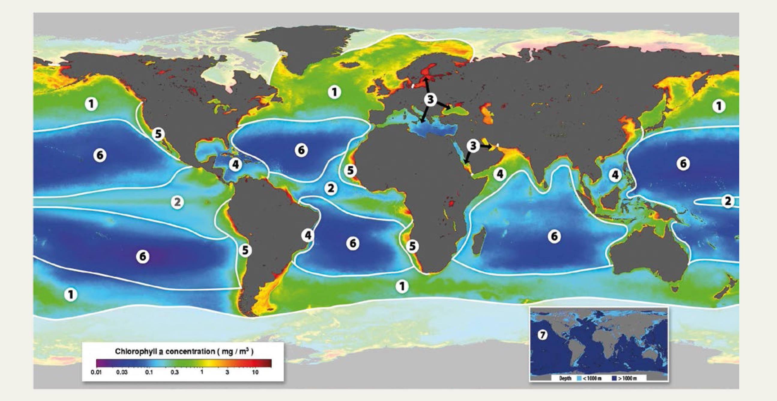 Forskjellige typer marine økosystem Klorofyll-a