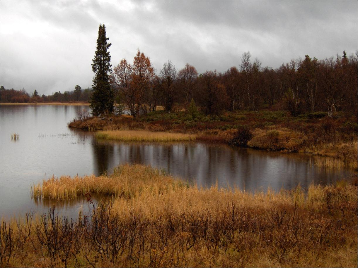 Aktuelle nettsider Bioforsk: http://avlop.no Funksjonskontroll av minirenseanlegg: http://www.bioforsk.no/ikbviewer/content/86635/version=1/rapport_morsa%20cowi_ Pr%F8vetakingsmetoder_2011.