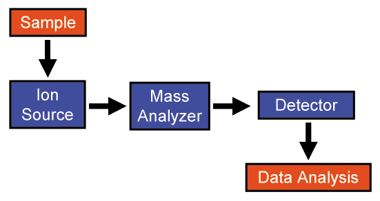 Massespektrometri (MS) er en analytisk teknikk som involverer studie av ioniserte molekyler i gassfase med det mål å finne molekylvekt, fragmenteringsenheter, struktur og gassfasereaktivitet av