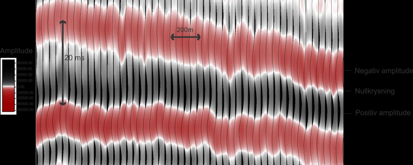 Kapittel 3 Data og metoder genererte flaten. Fig. 3.4: Utsnitt av seismikken som viser amplituden til de seismiske trasene.