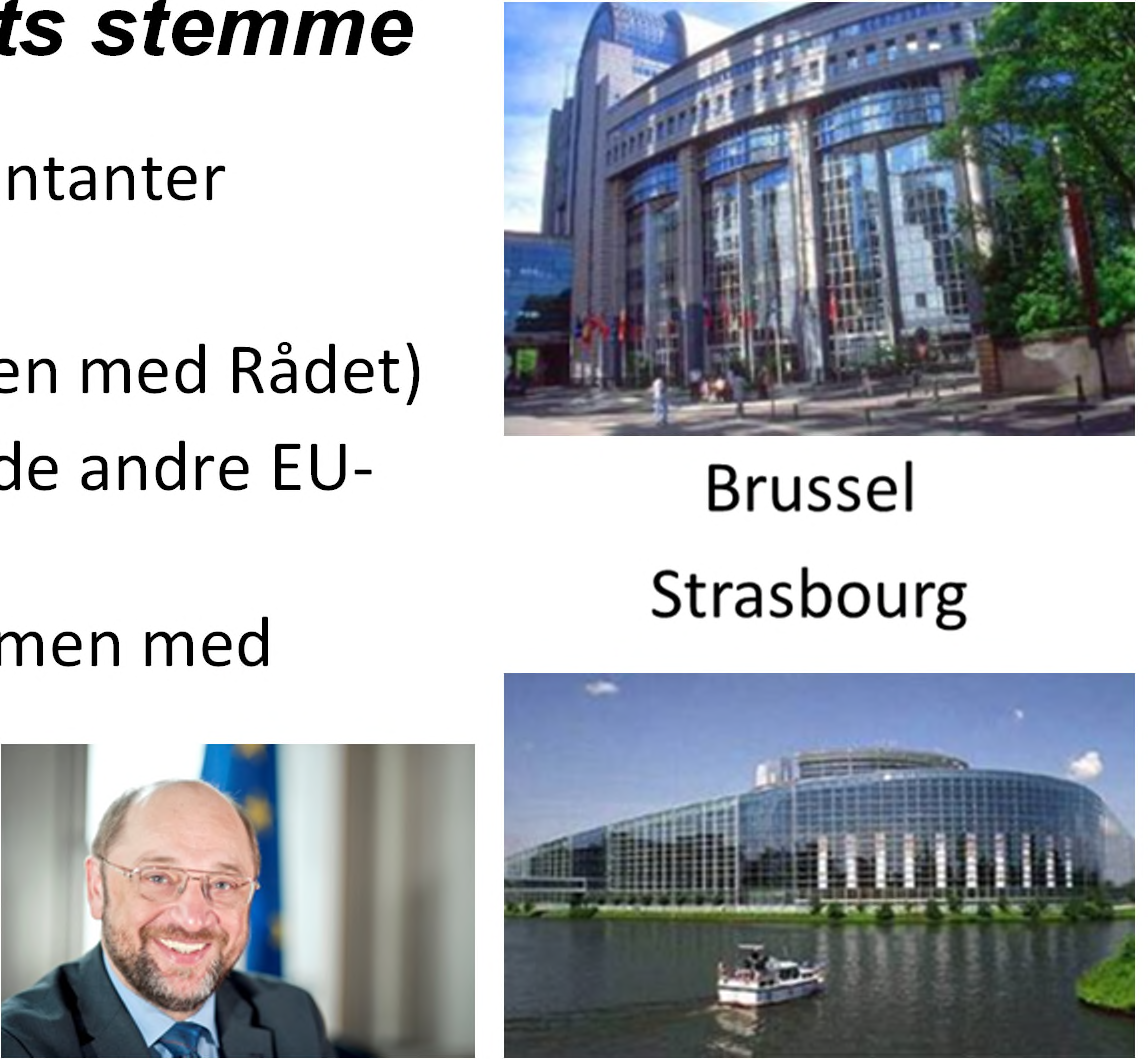 Europaparlamentet - Folkets stemme 751 direkte valgte representanter Roller: - Lovgivende makt (sammen med Rådet)