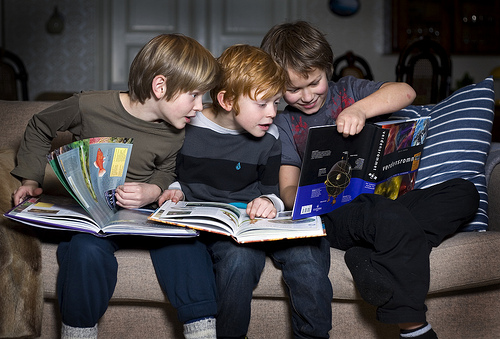 Skolebibliotek Elevane skal ha tilgang til skolebibliotek.