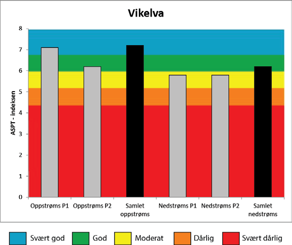 Figur 18. ASPT indeksen oppstrøms og nedstrøms utslippspunktet fra Salten Smolt i Vikelva høsten 2015.