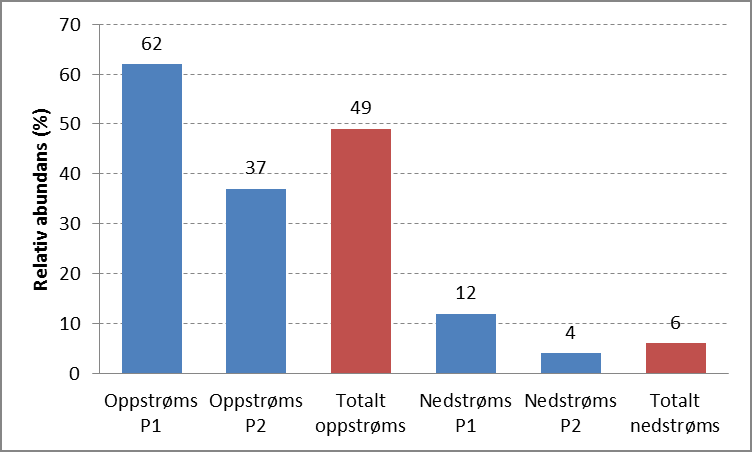 Figur 20. Relativ abundans i % av EPT-taxa oppstrøms og nedstrøms utslippspunktet fra Salten Smolt høsten 2015. Tall ovenfor kolonnene angir den relative abundansen.