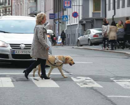 Men den ser ikke forskjell på rødt og grønt lys, så brukeren må vite når det er trygt å krysse gata og gi kommando når det er klart.