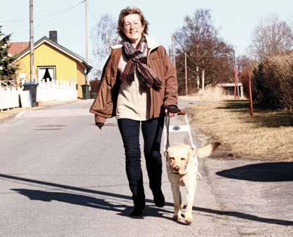 I FINT DRIV: Med Calvin tar jeg bussen til butikken, toget til Oslo og går turer i nærmiljøet. Å ha førerhund er å ha frihet til å gjøre det jeg vil, sier Liv Karin.