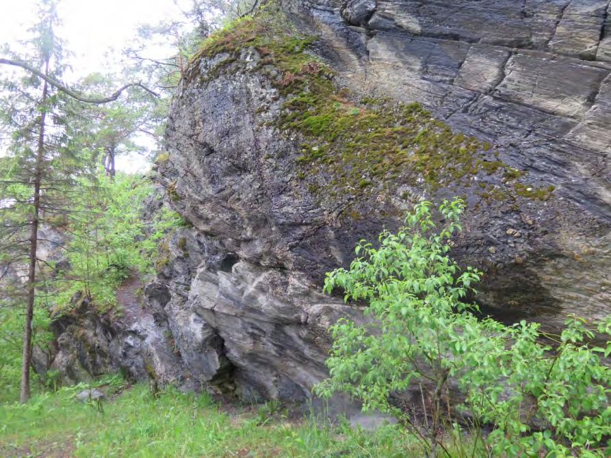 113 og Figur 114) der du skal studere en bergblotning.