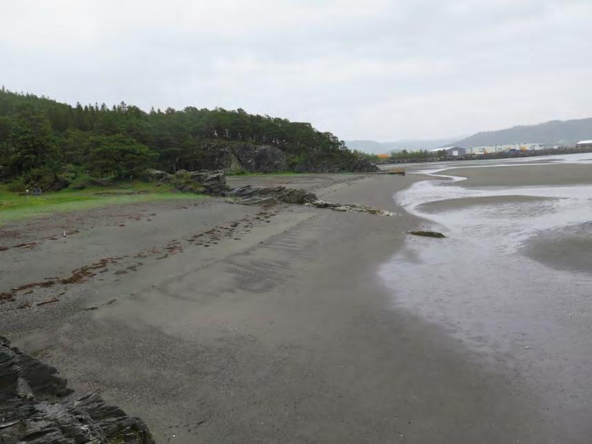 4. Sedimentære prosesser i strandsonen - løsningsforslag Figur 23: Finner du noen spor etter variasjoner i havnivå?