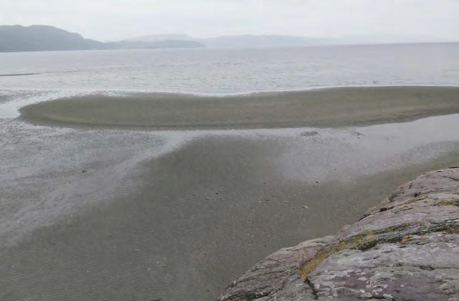 4.2. Sedimentære prosesser i strandsonen - elevoppgaver 4.2.2 Feltarbeid Oppgave 1 - Spor etter avsetning av sand Stjørdalselva frakter med seg mye materiale ut i Stjørdalsfjorden, og strømninger inn i fjorden gjør at materialet samles opp i Storvika.