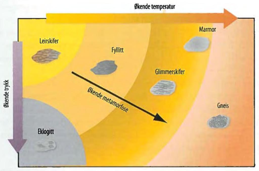5.2. Former og strukturer - metamorfose - elevoppgaver Oppgave 2 - Ulik grad av metamorfose a) En leirskifer kan gjennomgå forandringer som resulterer i forskjellige bergarter.