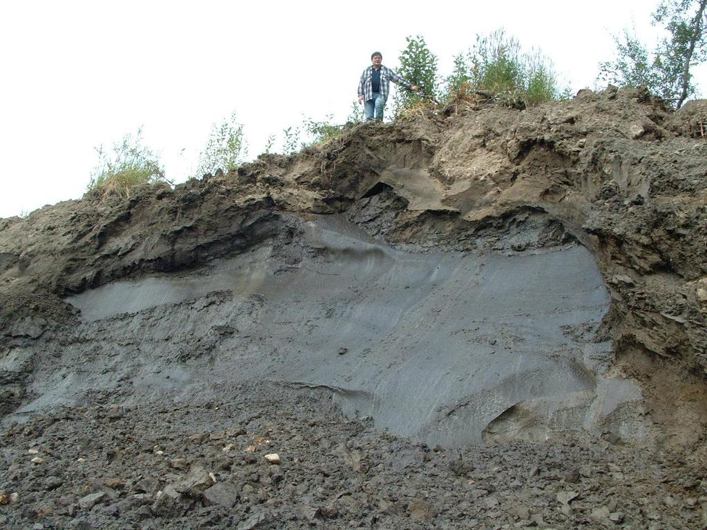 Metan lagret i permafrost Temperaturen i jordsmonnet stiger og permafrost tiner Anslagsvis 500-1000 Gt-C er lagret i permafrost (tilsvarende 50-100 år menneskeskapte CO 2 -utslipp) Ikke tydelig