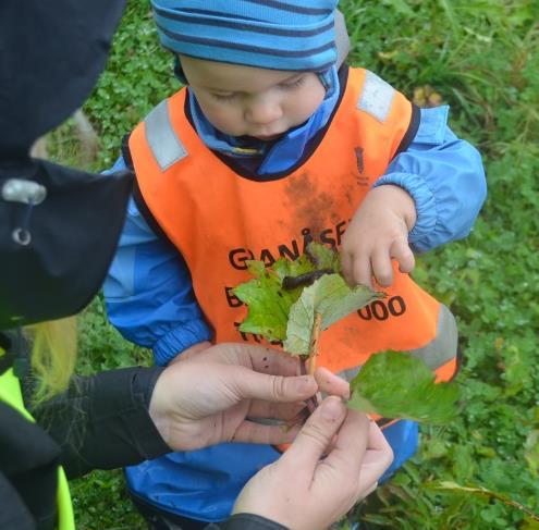 grupper på tur