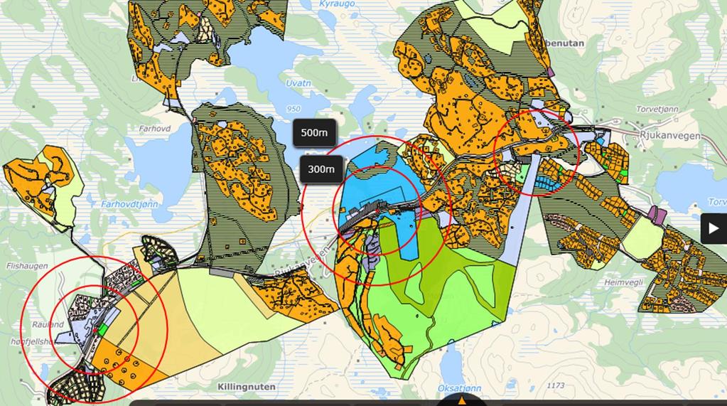 Modell for utleigekapasitet kva for ubygde område som framover skal vere næringsområde i Rauland og Vågslid Vedlegg 1 A.