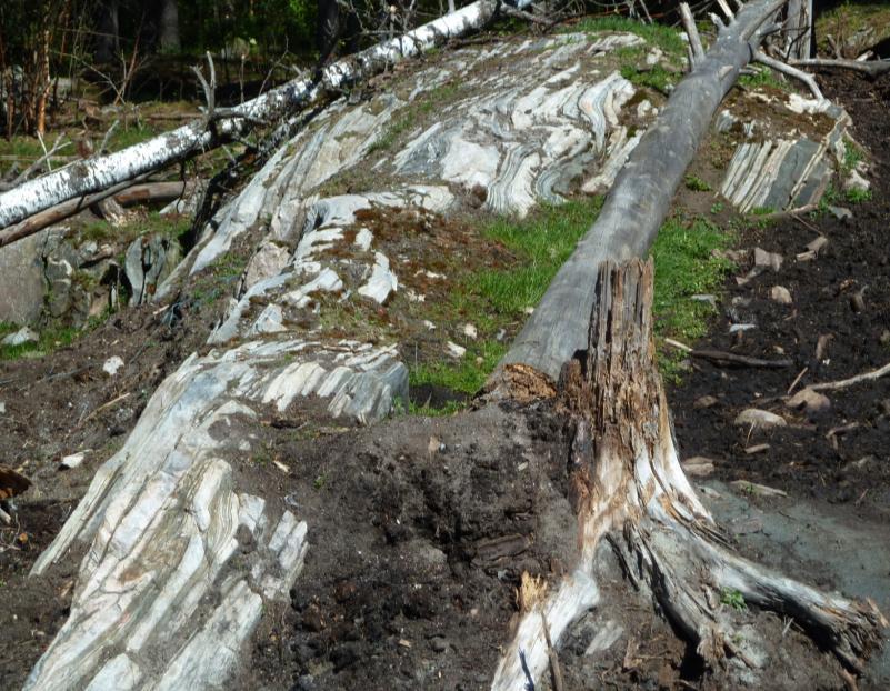 3. GENERELL GEOLOGI Figur 4: Utsnitt fra geologisk kart (Lutro og Nordgulen, 2008) som viser geologien i området rundt Prestfoss.