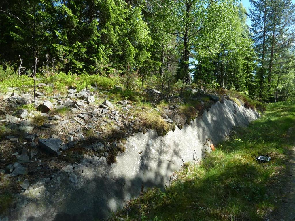 4.1 Eikjeseterveien De potensielle muresteinsforekomstene sørover langs veien til Eikjesetra ble funnet under kartleggingen i mai/juni 2011.