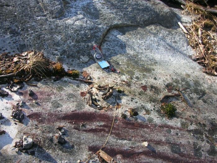 a) b) Fig.2 a) Gneisaktig anortositt-gabbro i øvre venstre billedkant intrudert av granodioritt, b) granodioritt Bergartene er gjennomsatt av sprekker i flere retninger.