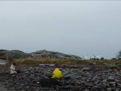 noen nøkkeltall Full City Ca 75 km strandlinje er berørt Ca 195 posisjoner Ca 18