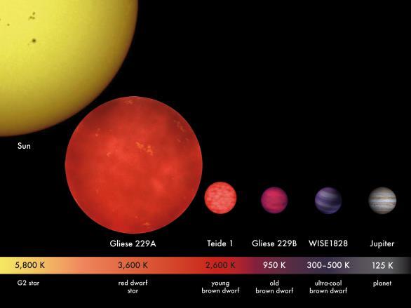 Stjernefødsel Kjempestor molekylsky Tyngdekraft vinner over gasstrykk Kan settes i gang av nær supernova. Protostjerne (ca. 200 000 år) Trykk og temperatur i kjernen øker Større enn 0.