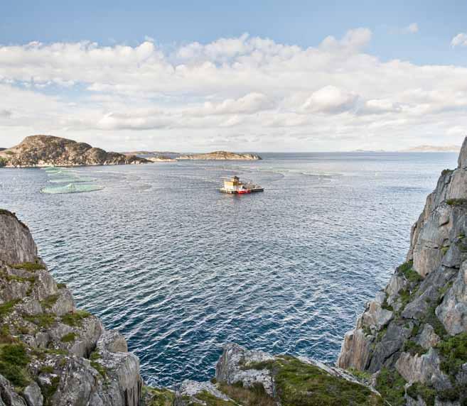 Det forplikter både eiere, ansatte og leverandører i vårt daglige arbeid med å fremskaffe verdens beste sjømat i en naturbasert matvareproduksjon.