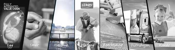 I Lerøy Seafood Group er det opprettet ulike kompetansegrupper. De ulike kvalitetslederne er samlet i en egen kompetansegruppe for kvalitet og miljø som vist på figuren nedenfor.